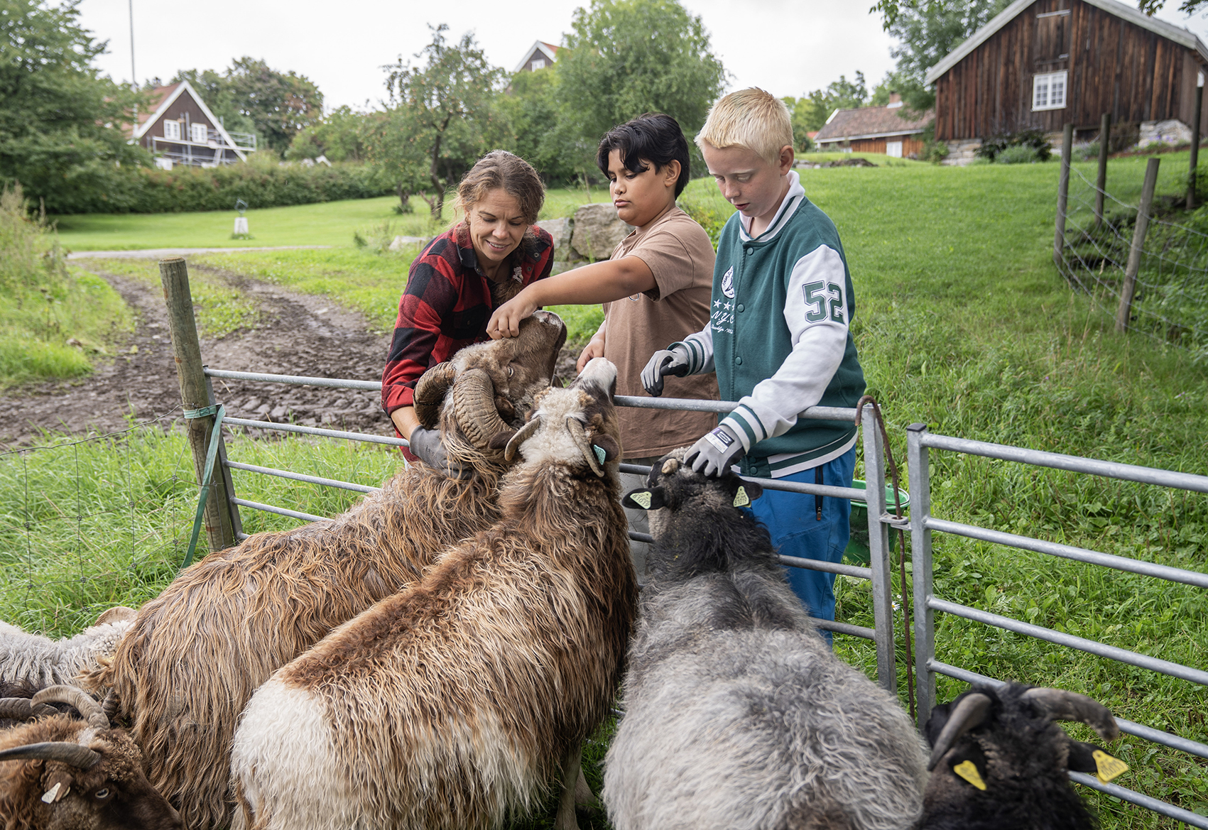 Ein skuledag p&aring; Syverstad g&aring;rd.